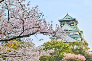 an image of sakura flower in front of a pagoda style temple