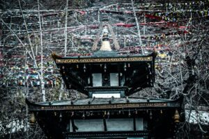 muktinath temple mustang nepal